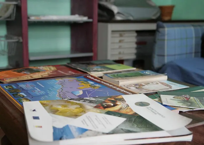 Marnabianca 雷阿尔蒙特